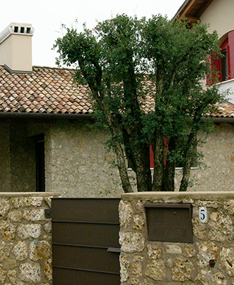 In campagna, l’uso della pietra locale, da carattere ad una villa progettata come composizione di elementi tradizionali.<br />(2004)